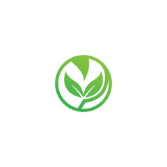 Green leaf logo