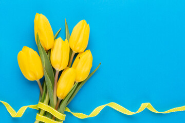 Yellow tulips on the blue background.