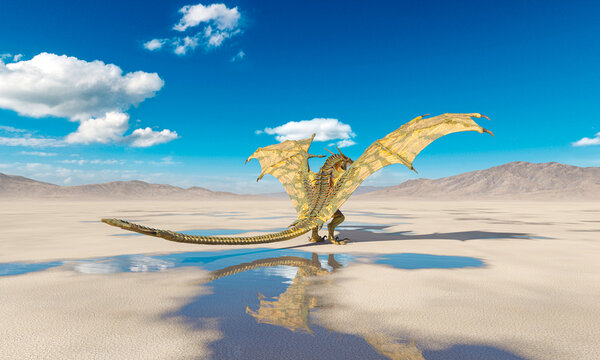 dragon is standing up and ready to attack on the desert after rain cool rear view