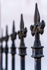 fleur de lis metal fence © SETH