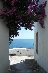 Fototapeta na wymiar Picturesque main village of Skiros island with view to Aegean sea, Sporades islands, Greece