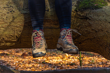 Hiking shoes isolated, hiker sitting on a log in the forest with feet hanging in the air