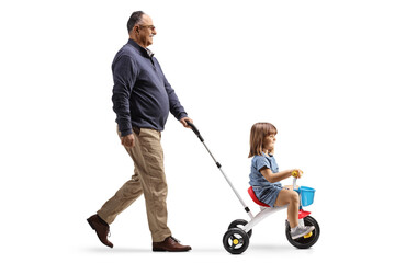 Full length profile shot of a grandfather pushing a girl on a tricycle - obrazy, fototapety, plakaty
