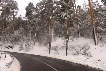 Fototapeta premium Paisaje nevado