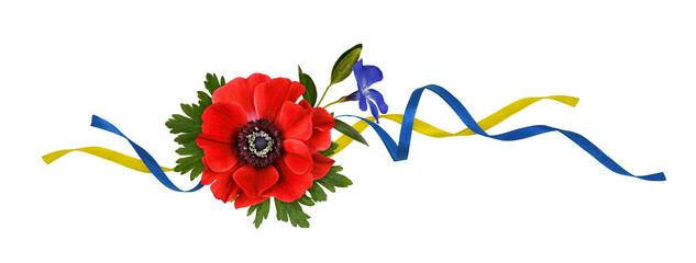 Bouquet of flowers in red, yellow and blue colors with silk ribbons isolated on white background....