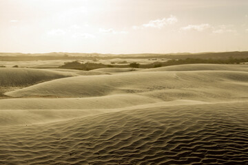 sand dunes in the desert