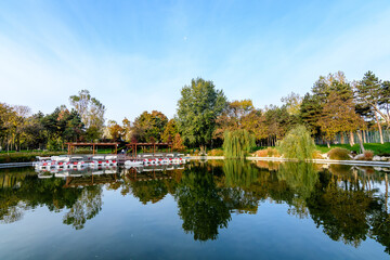 Landscape with the lake and green and yellow trees in Drumul Taberei Park, also known as Moghioros Park, in Bucharest, Romania, at sunrise in an autumn morning.