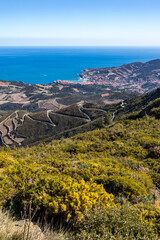 Vue sur Banyuls-sur-Mer et Côte Vermeille au bord de la Méditerranée depuis le Massif des...