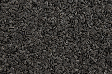 background of black sunflower seeds, close up