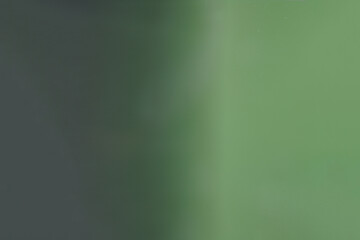 green abstract background