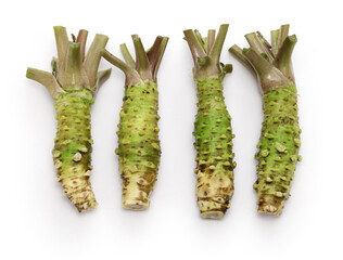Wasabi (Japanese horseradish) is a Japanese condiment which is used in sushi and sashimi. - obrazy, fototapety, plakaty