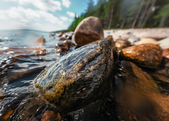 river in the forest