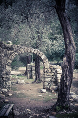 The ruins of the city of Olympos, Turkey