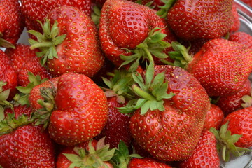 Close-up of fresh strawberries .Fresh Strawberry Background . - obrazy, fototapety, plakaty