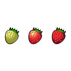unripe ripe strawberry on white background, vector illustration