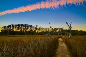 Sunset on the Avian Trail at Skidaway Island State Park, GA. - obrazy, fototapety, plakaty