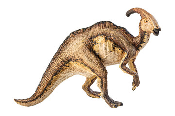 Fototapeta premium Parasaurolophus , dinosaur on white background .