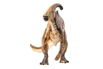 Foto op Plexiglas Dinosaurus Parasaurolophus  , dinosaur on white background .