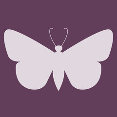 Butterfly insect silhouette outline.