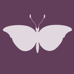 Butterfly insect silhouette outline.