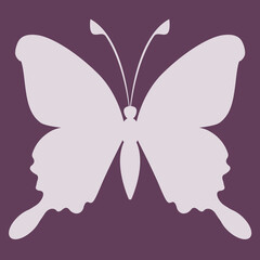Butterfly insect silhouette outline.