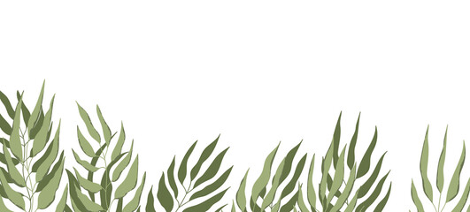 Floral web banner with drawn color exotic leaves. Nature concept design. Modern floral compositions with summer branches. Vector illustration on the theme of ecology, natura, environment