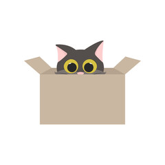 Cute cat sitting in cardboard box flat style, vector illustration isolated on white background. Cartoon pet character with huge yellow eyes, domestic animal, behavior