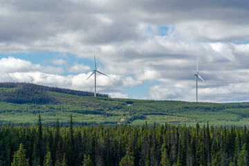 Windmills in Forest