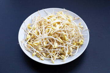 Fresh soybean sprouts in plate on dark background.