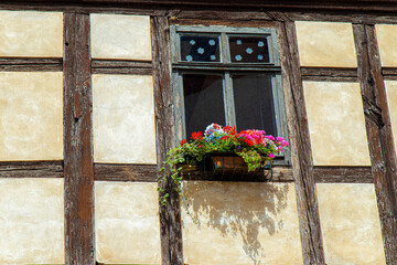 window with flowers in the village