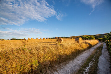 Evening light over farmland in Sussex, with hay bales in the fields