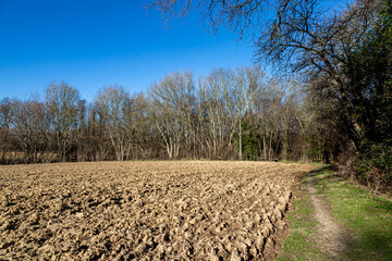Obraz premium A pathway alongside a ploughed field, on a sunny winters day