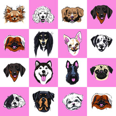 Dog breeds sketch icons in set collection for design. Muzzles of dog, diferent heads. Dalmatian, dachhund, spitz, poodle, terrier, husky, shepherd, mops, rottweiler. Seamless vector illustration pink.