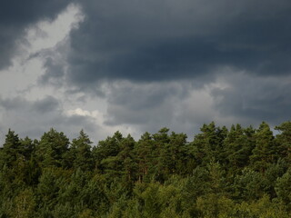 Dark storm clouds over coniferous forest, Kashubia, Poland