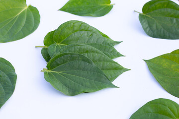 Green betel leaves, Fresh piper betle on white background