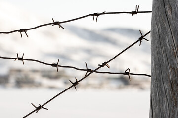 Old barbed wire and wooden post on a winter background. Barbed wire closeup. Shallow depth of...