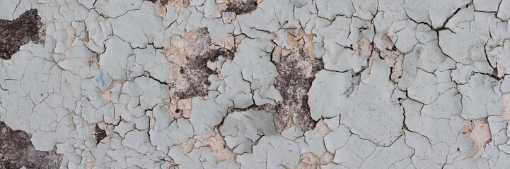 Peeling paint on the wall. Panorama of a concrete wall with old cracked flaking paint. Weathered rough painted surface with patterns of cracks and peeling. Panoramic texture for background and design.