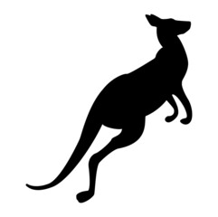 Black kangaroo silhouette isolated on white background. Illustration