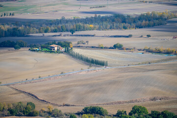 Fototapeta na wymiar Aerial view on hills near Castiglione, Tuscany, Italy. Tuscan landscape with cypress trees, vineyards, forests and ploughed fields in autumn.