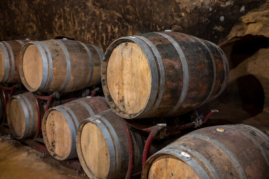 Medieval Underground Wine Cellars With Old Red Wine Barrels For Aging Of Vino Nobile Di Montepulciano In Old Town Montepulciano In Tuscany, Italy