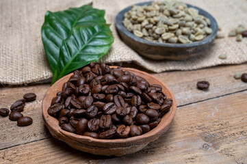 Green un-roasted and brown roasted coffee beans from Africa coffee producing region, cultivating in...