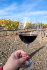 Tasting of red sangiovese wine with typical hilly vineyards and cypress tree on background near Montepulciano, Tuscany, Italy