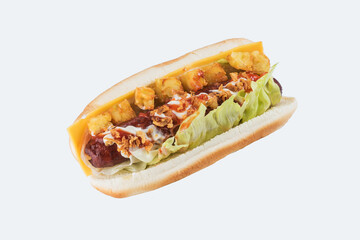 Hotdog on a light background