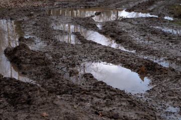 Rural muddy dirt road in late autumn. Off-road, wild dirt trail with large muddy pit and puddles, showing difficulties of moving people in rural areas during rainy season