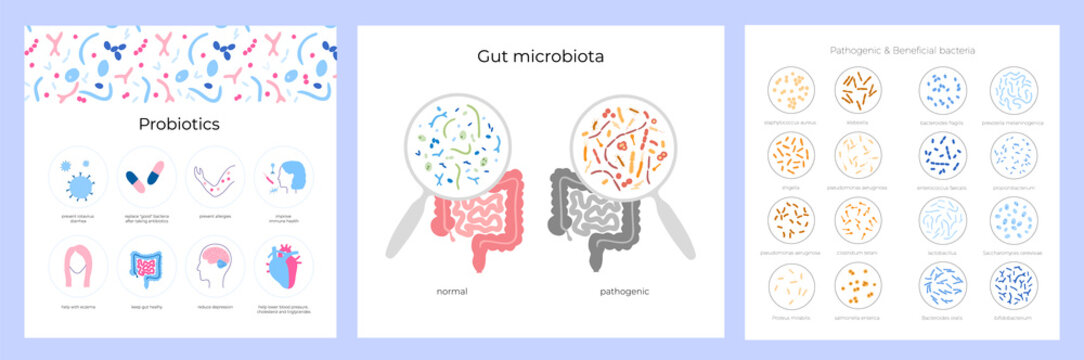 Probiotics set concept