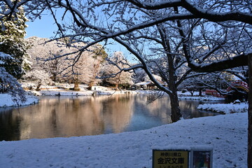 雪景色の称名寺阿字が池日本庭園