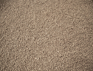 detail phosphorus fertilizer grain with selective focus