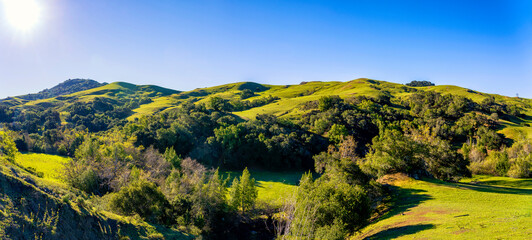 Green Hills panorama of hillside in spring