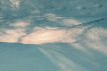 Abstract snow background. Sun and shadows on a snow