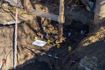 Human remains in the ground. Archaeological excavations of skulls and bones with forensic...